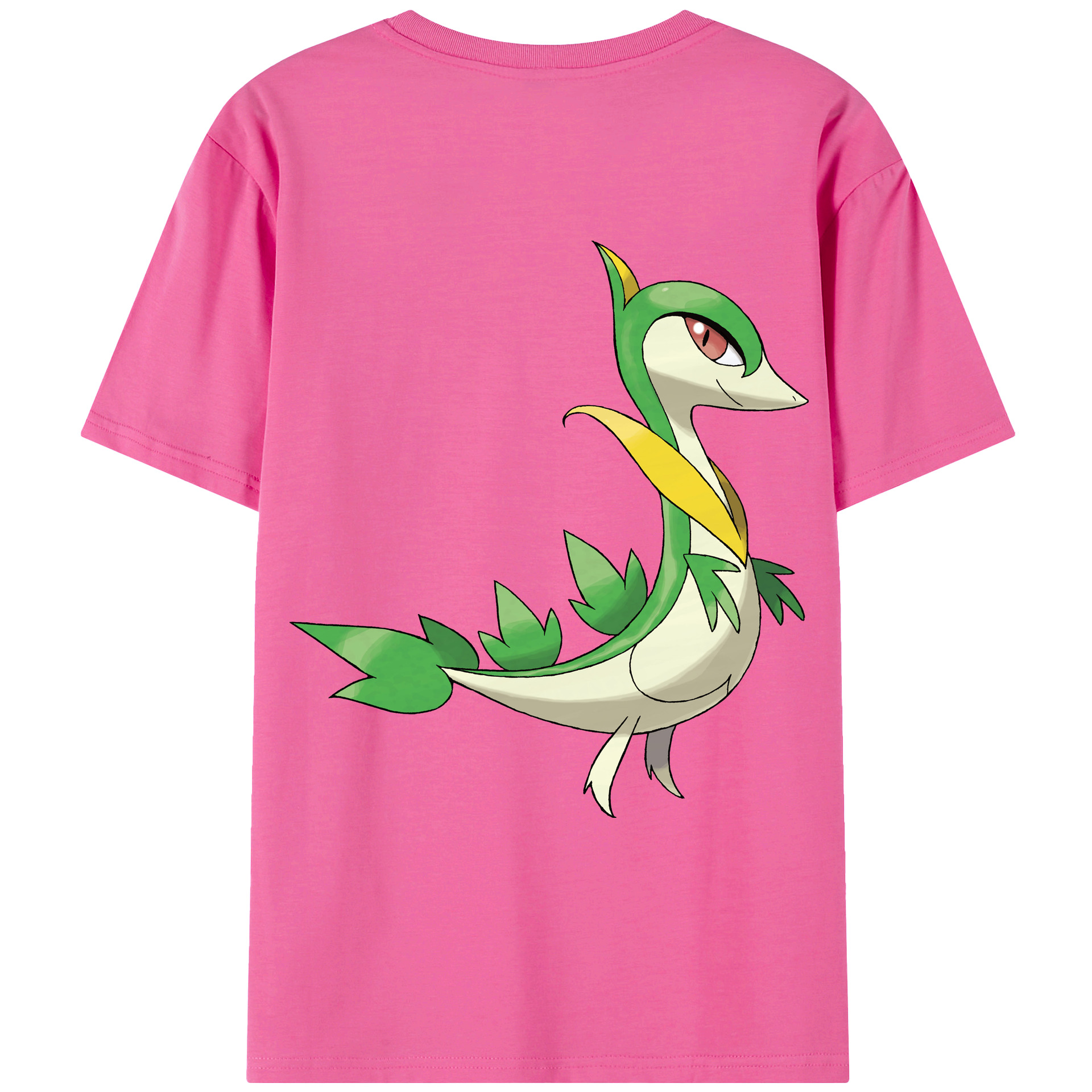 （画像用） ポケットモンスター Pokémon レディース半袖Tシャツ(バックプリント)
